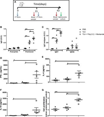 Identification of Immunodominant Antigens From a First-Generation Vaccine Against Cutaneous Leishmaniasis